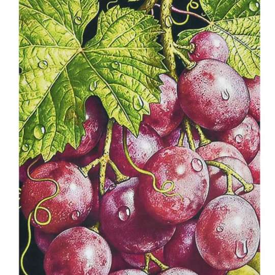 Рубіновий Вартовий