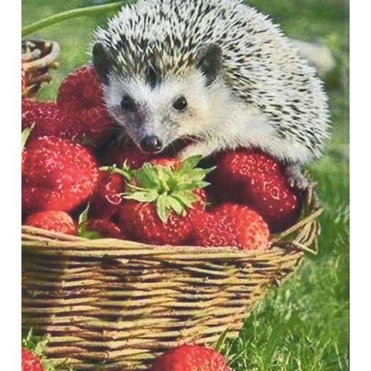 Алмазная мозаика "Ежик и клубника" HEG86093 30х40 см 