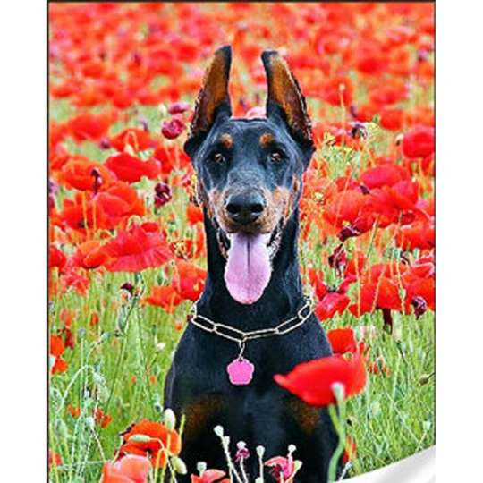 Алмазная мозаика "Черный доберман" GM86851 30х40 см