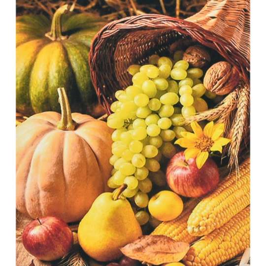Алмазная мозаика "Осенний урожай" SK88252 40х50 см