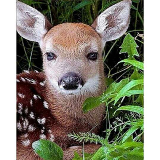Алмазная мозаика "Детеныш косули" HEG86027 30х40 см