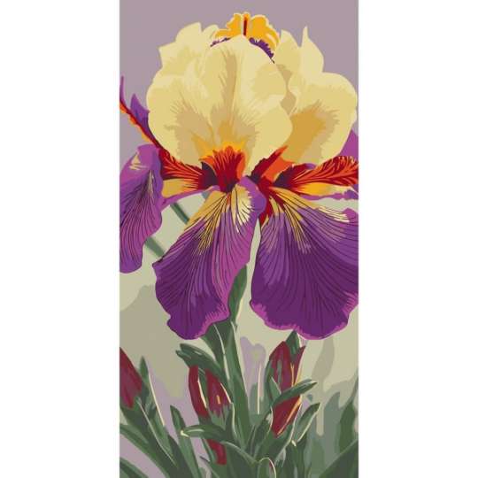 Картина по номерам "Ирис Карнивал Каперс" 13095-AC 40х80 см