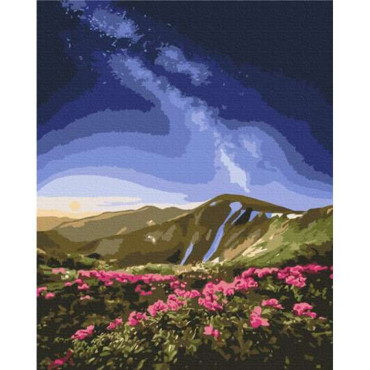 Картина по номерам "Черногора" ©Roksolana Baran BS53753, 40х50 см