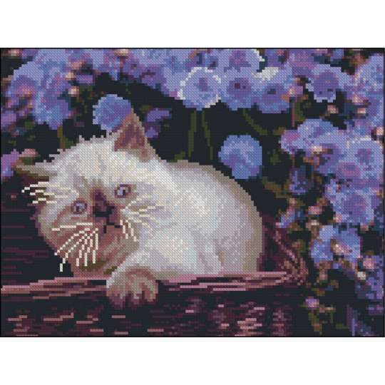 Малиновий донат