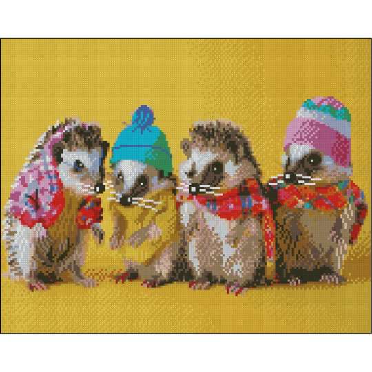 Листя на камінцях