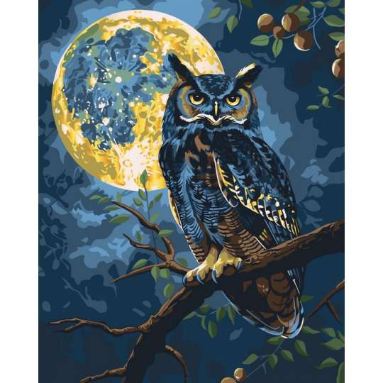 Картина по номерам "Хранитель звездного света" 11722-AC 40х50 см