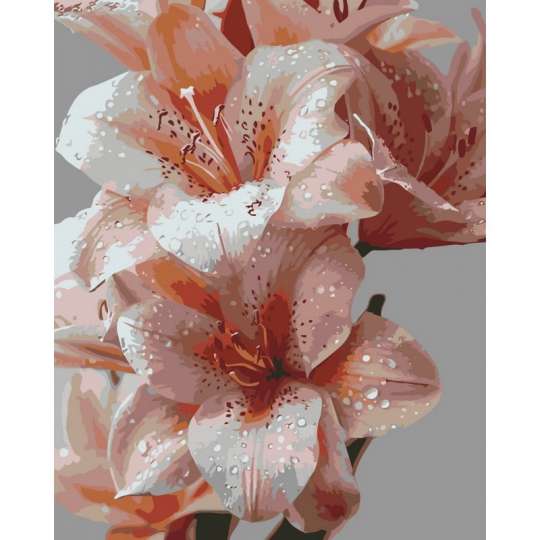 Картина по номерам "Капли тишины" ©arttem_illustration 13169-AC 40х50 см