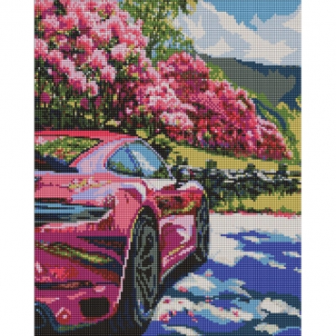 Алмазная мозаика "Движение в цвете" AMO20113, 40х50 см