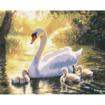 Картина по номерам "Вечерний заплыв" KHO6715, 40х50 см