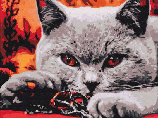 Домашній хижак