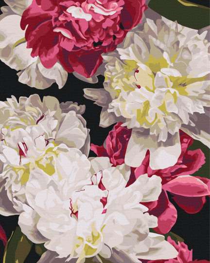 У тіні світла © Анастасія Альохіна