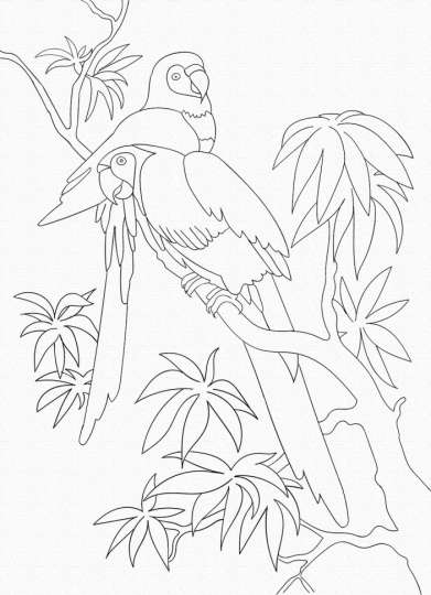 Розпис на полотні. Art Craft Папуги 25х30 см 15507-AC