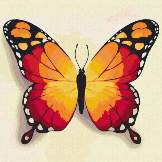 Картина по номерам - Оранжевая бабочка Идейка 25х25 см (KHO4210)