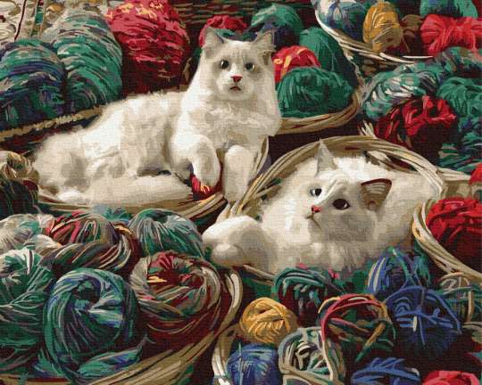 Котики в клубках