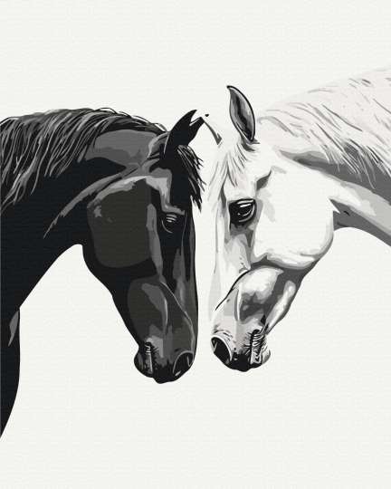 Між темрявою і світлом