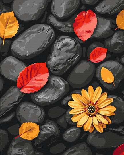 Листя на камінцях