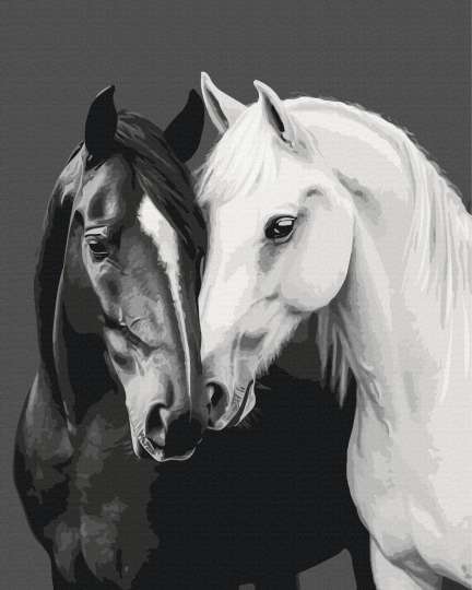 Чорне і біле серце