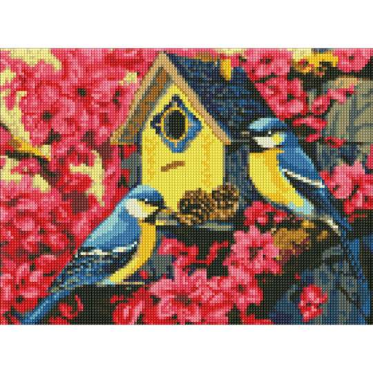 Пейзаж для котиків