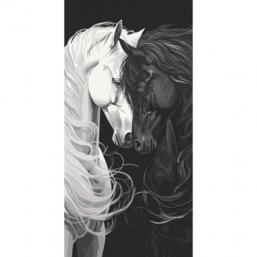 Картина по номерам "Свет и тень" 11559-AC 40х80 см