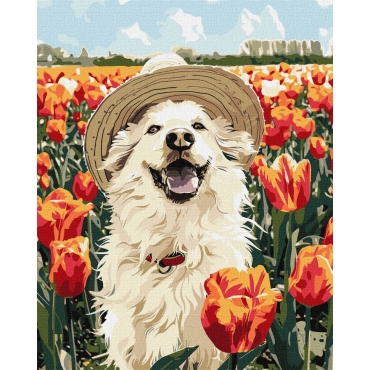 Картина по номерам "Счастливый лабрадор" KHO6623, 40х50 см