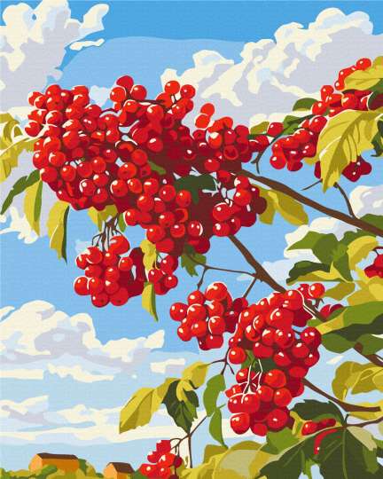 Калина за вікном