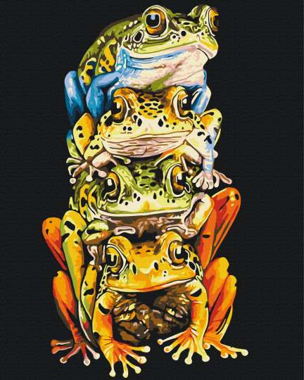 Кольорові жабки © Telonitskaya Kristina